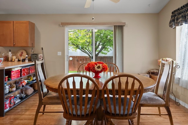 36 W Northview Loop, Kalispell, MT 59901 - dining room with light wood-type flooring and ceiling fan