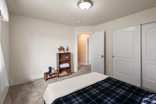 36 W Northview Loop, Kalispell, MT 59901 - bedroom featuring carpet flooring and a closet