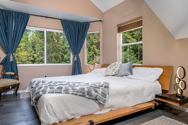 2075 Lion Mountain Loop Rd, Whitefish, MT 59937 - bedroom featuring lofted ceiling, wood finished floors, and multiple windows