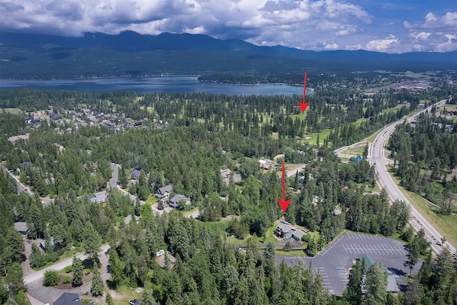 2075 Lion Mountain Loop Rd, Whitefish, MT 59937 - aerial overview of property's location featuring a heavily wooded area and a water and mountain view