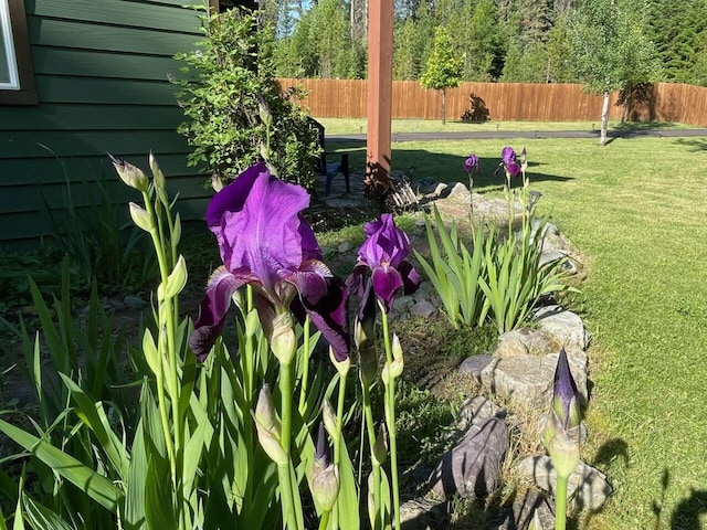 2075 Lion Mountain Loop Rd, Whitefish, MT 59937 - view of yard