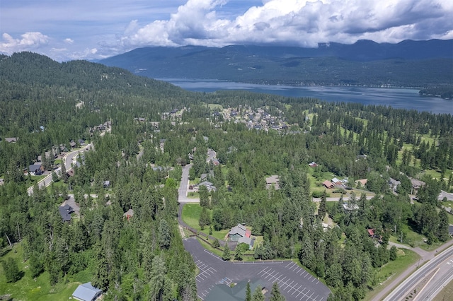 2075 Lion Mountain Loop Rd, Whitefish, MT 59937 - aerial overview of property's location featuring a heavily wooded area and a water and mountain view
