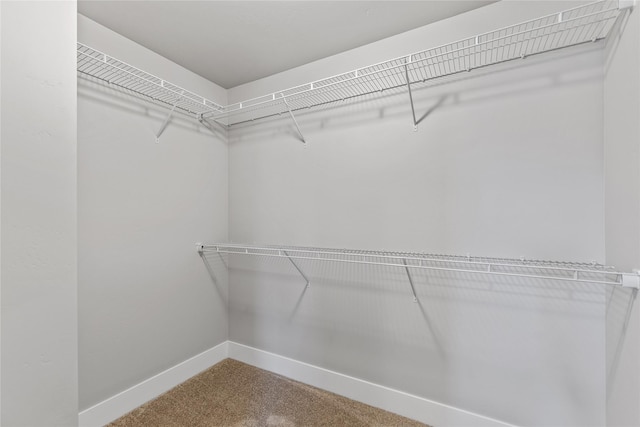 534 Colorado Ave, Whitefish, MT 59937 - walk in closet featuring carpet