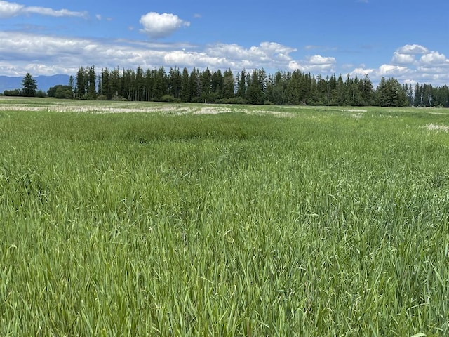 137 Glacier Flats Rd, Kalispell, MT 59901