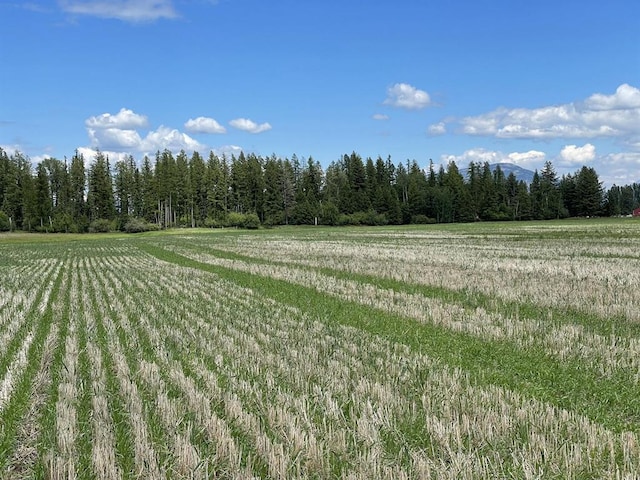 137 Glacier Flats Rd, Kalispell, MT 59901
