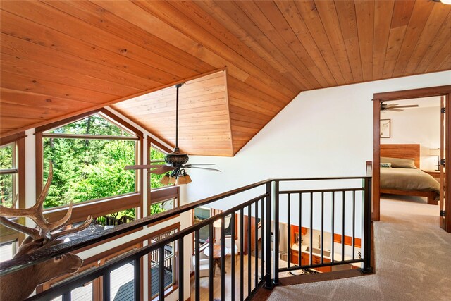 255 Windsor Ct, Bigfork, MT 59911 - hallway featuring wooden ceiling, lofted ceiling, carpet flooring, and an upstairs landing