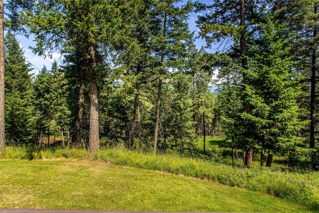255 Windsor Ct, Bigfork, MT 59911 - view of woods