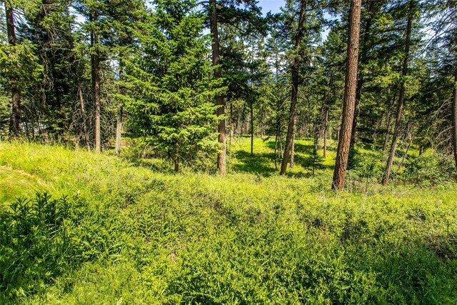 255 Windsor Ct, Bigfork, MT 59911 - view of tree filled area