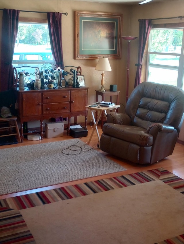 4117 Sherlock Ln, Lincoln, MT 59639 - living area featuring wood finished floors