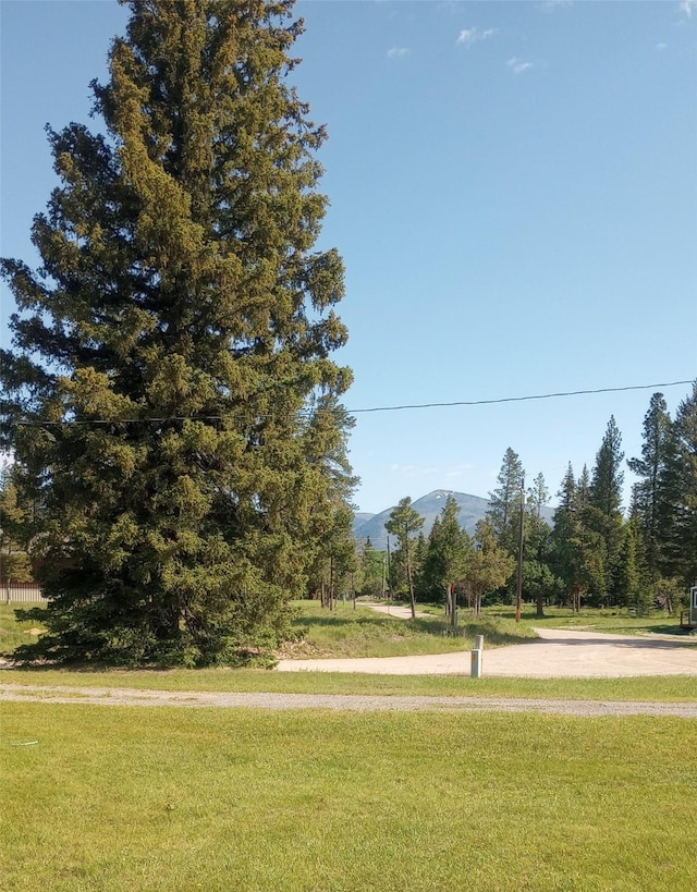 4117 Sherlock Ln, Lincoln, MT 59639 - view of community with a mountain view and a lawn