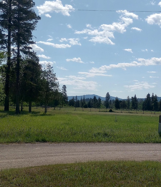 4117 Sherlock Ln, Lincoln, MT 59639 - view of dirt / gravel road featuring a view of rural / pastoral area and a mountain view