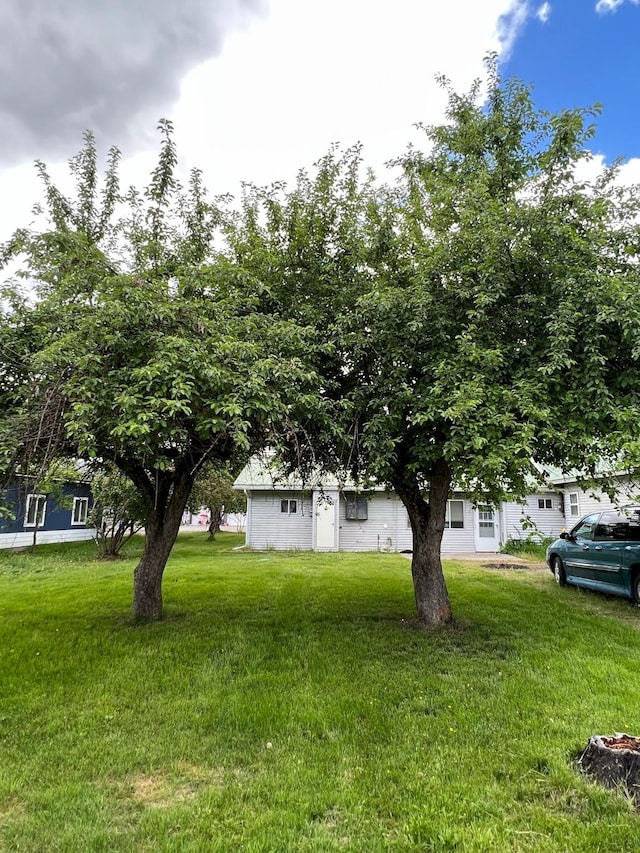 214 Church St, Thompson Falls, MT 59873 - view of grassy yard