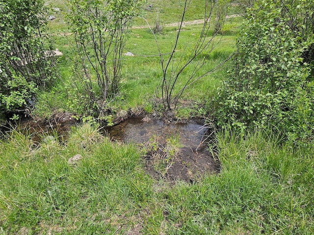 NHN Osprey Rd, Helmville, MT 59843