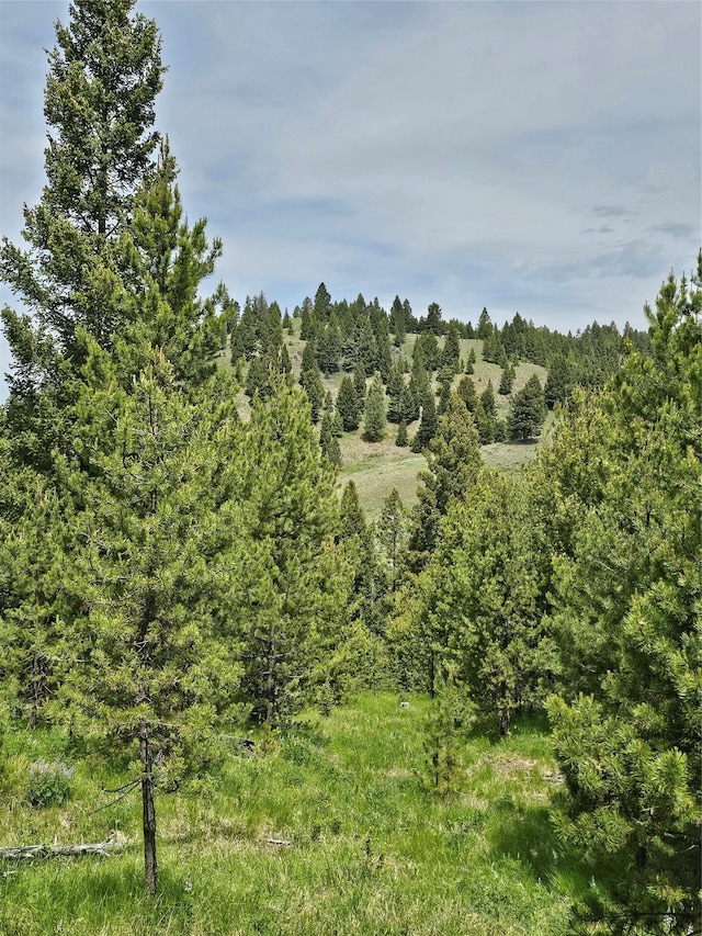 NHN Osprey Rd, Helmville, MT 59843