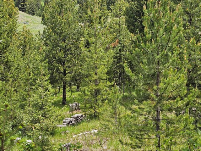 NHN Osprey Rd, Helmville, MT 59843