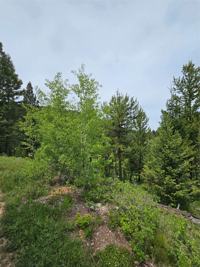 NHN Osprey Rd, Helmville, MT 59843