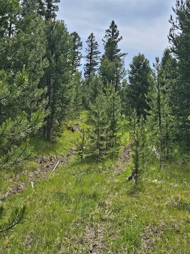 NHN Osprey Rd, Helmville, MT 59843