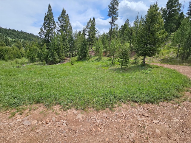 NHN Osprey Rd, Helmville, MT 59843