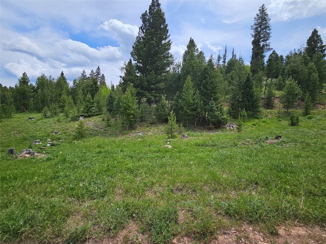 NHN Osprey Rd, Helmville, MT 59843
