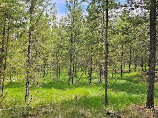 NHN Osprey Rd, Helmville, MT 59843