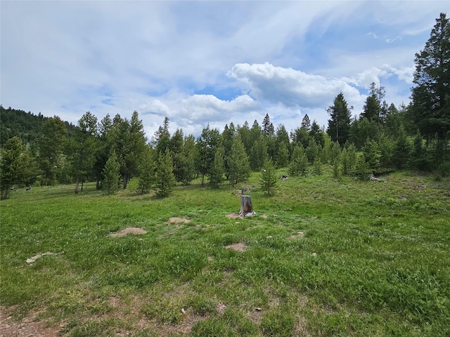 NHN Osprey Rd, Helmville, MT 59843