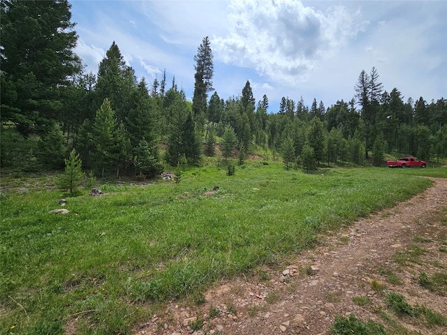 NHN Osprey Rd, Helmville, MT 59843