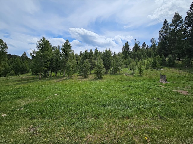NHN Osprey Rd, Helmville, MT 59843