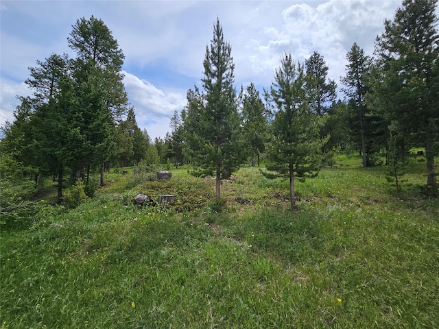 NHN Osprey Rd, Helmville, MT 59843