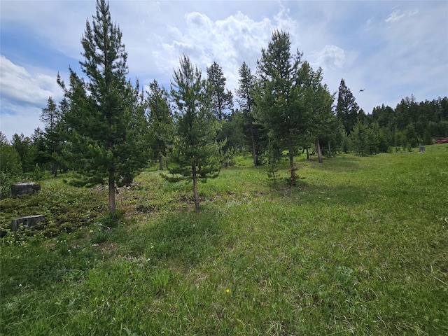 NHN Osprey Rd, Helmville, MT 59843