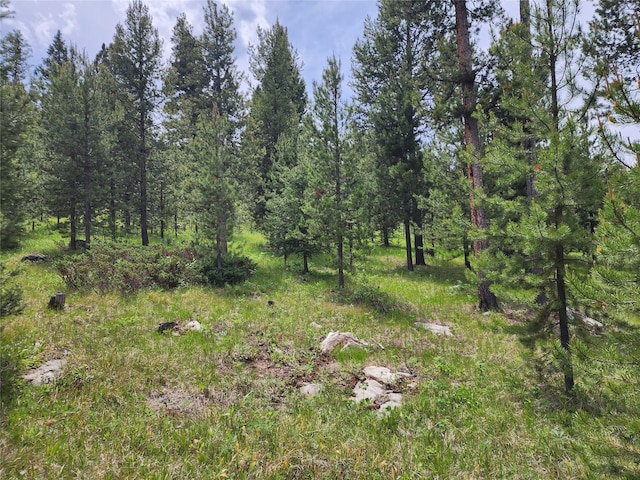 NHN Osprey Rd, Helmville, MT 59843