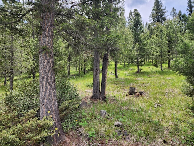 NHN Osprey Rd, Helmville, MT 59843