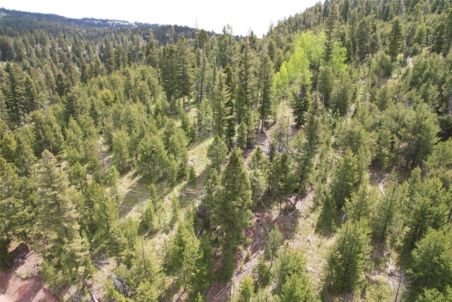 NHN Osprey Rd, Helmville, MT 59843