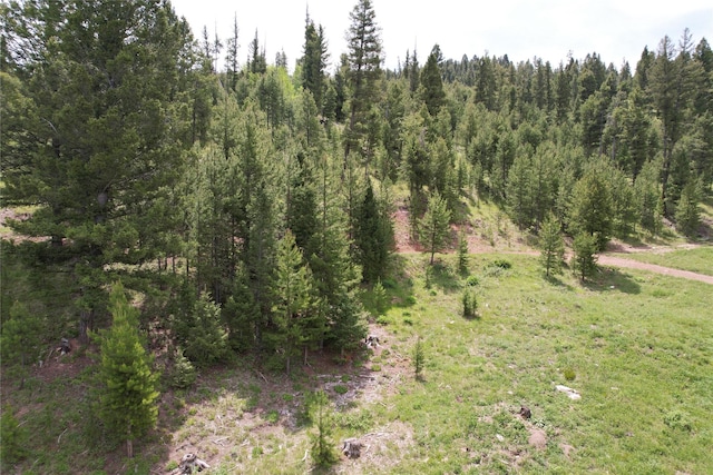 NHN Osprey Rd, Helmville, MT 59843