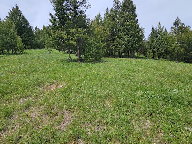 NHN Osprey Rd, Helmville, MT 59843