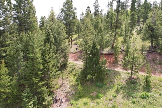 NHN Osprey Rd, Helmville, MT 59843