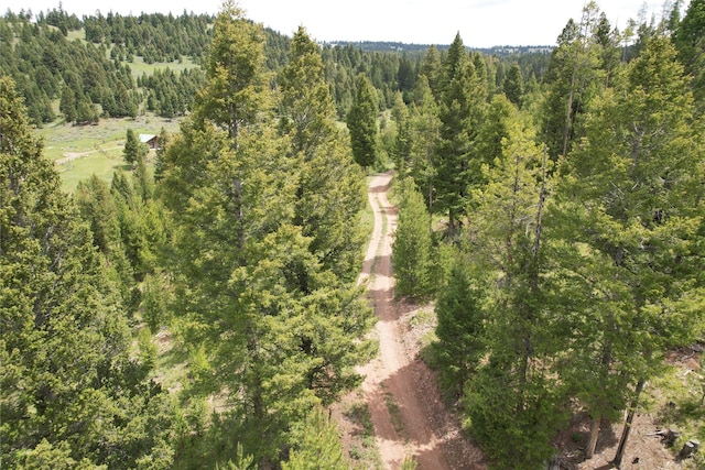 NHN Osprey Rd, Helmville, MT 59843