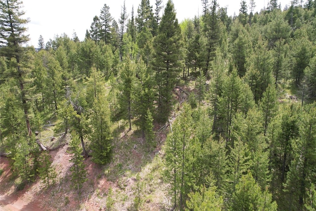 NHN Osprey Rd, Helmville, MT 59843