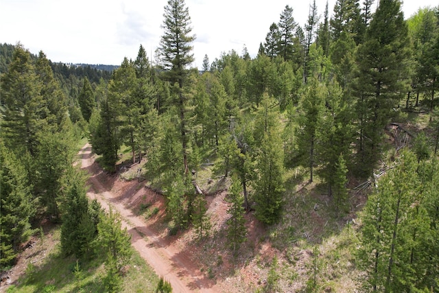NHN Osprey Rd, Helmville, MT 59843