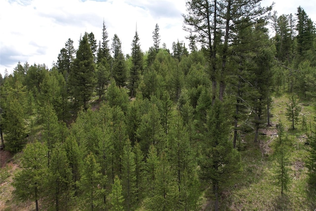 NHN Osprey Rd, Helmville, MT 59843
