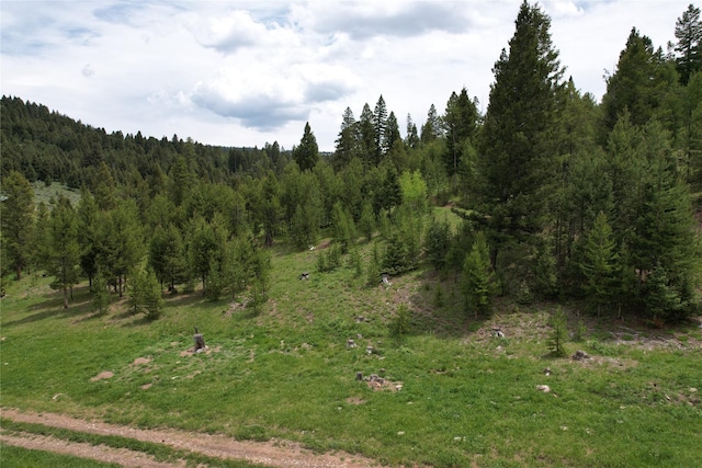 NHN Osprey Rd, Helmville, MT 59843