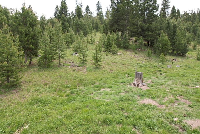 NHN Osprey Rd, Helmville, MT 59843