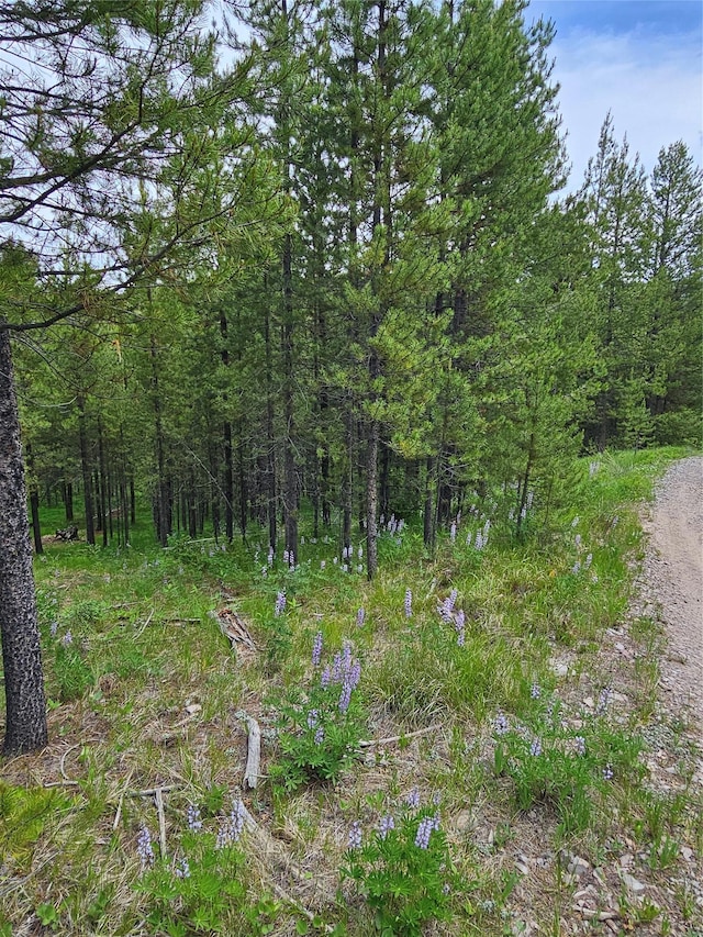 NHN Osprey Rd, Helmville, MT 59843