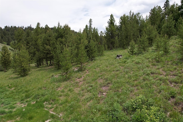 NHN Osprey Rd, Helmville, MT 59843