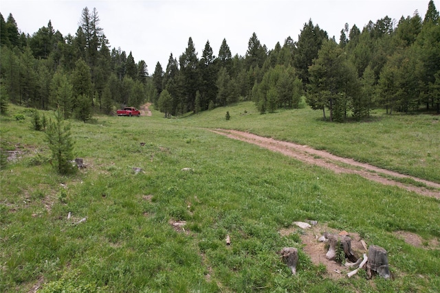 NHN Osprey Rd, Helmville, MT 59843