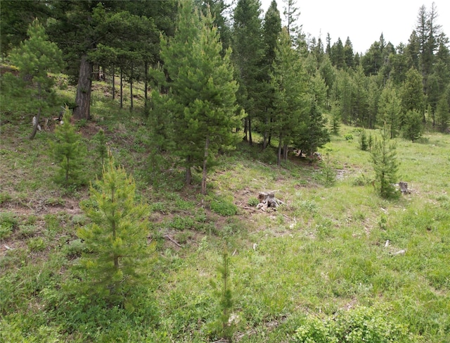 NHN Osprey Rd, Helmville, MT 59843