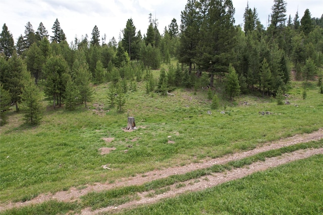 NHN Osprey Rd, Helmville, MT 59843