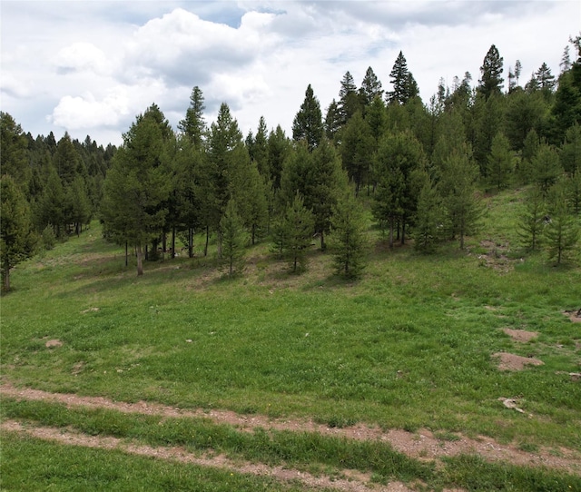 NHN Osprey Rd, Helmville, MT 59843
