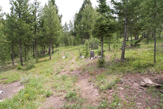 NHN Osprey Rd, Helmville, MT 59843