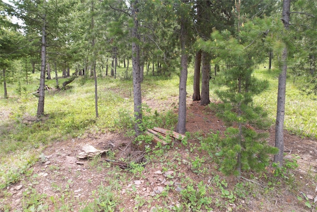 NHN Osprey Rd, Helmville, MT 59843
