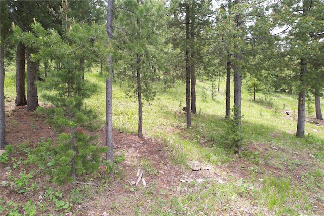 NHN Osprey Rd, Helmville, MT 59843